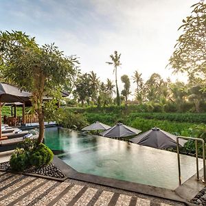 Mayura Ubud Retreat